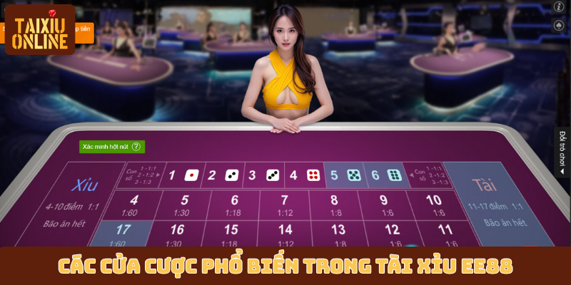 Các cửa cược phổ biến trong tài xỉu EE88 Các cửa cược phổ biến trong tài xỉu EE88