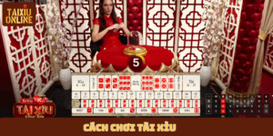 Cách chơi tài xỉu