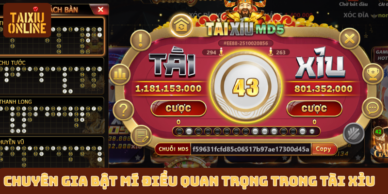 Chuyên gia bật mí những điều quan trọng trong tài xỉu Chuyên gia bật mí những điều quan trọng trong tài xỉu