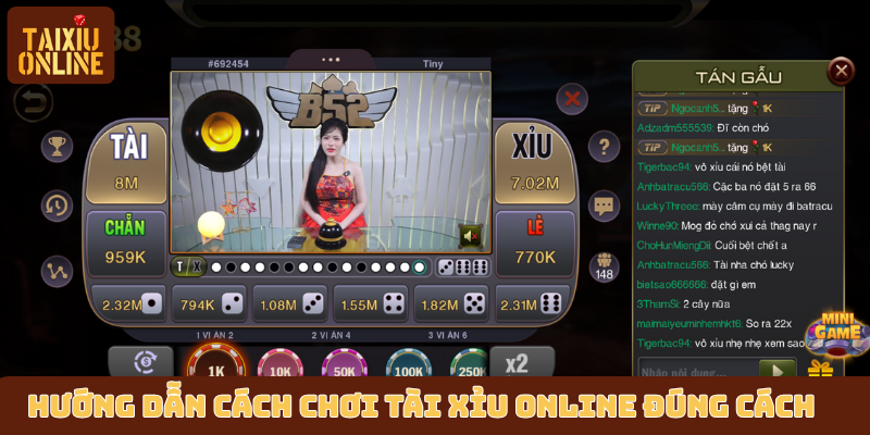Hướng dẫn cách chơi tài xỉu online đúng cách Hướng dẫn cách chơi tài xỉu online đúng cách
