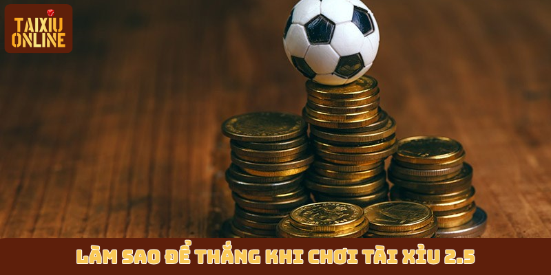 Làm sao để thắng khi chơi tài xỉu 2.5