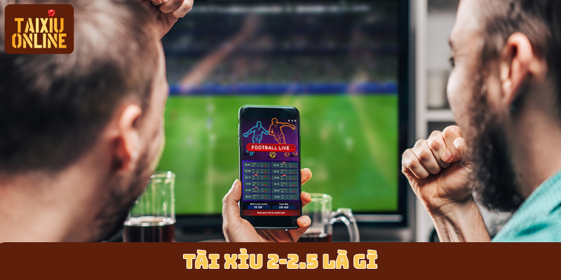 Tài xỉu 2-2.5 là gì? Tài xỉu 2-2.5 là gì?