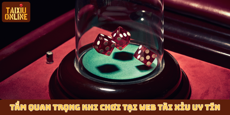 Tầm quan trọng khi chơi tại web tài xỉu uy tín
